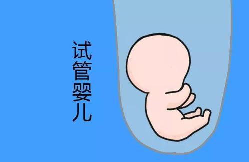案例